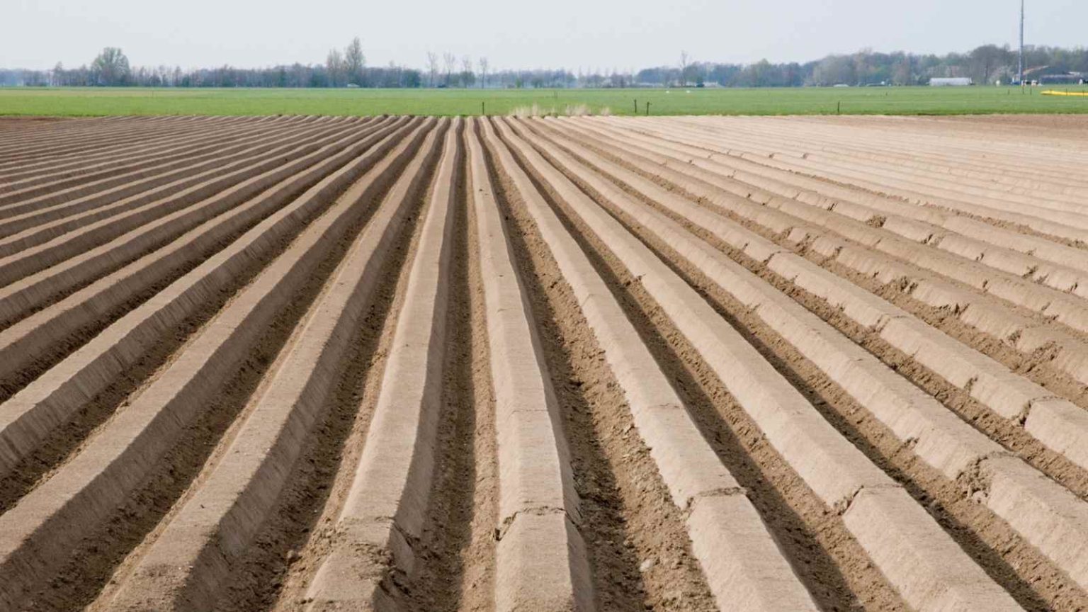 What Are The Major Soil Indicators To Increase The Crop Yield?