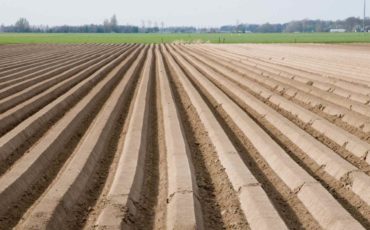 Major Soil Indicators To Increase The Crop Yield