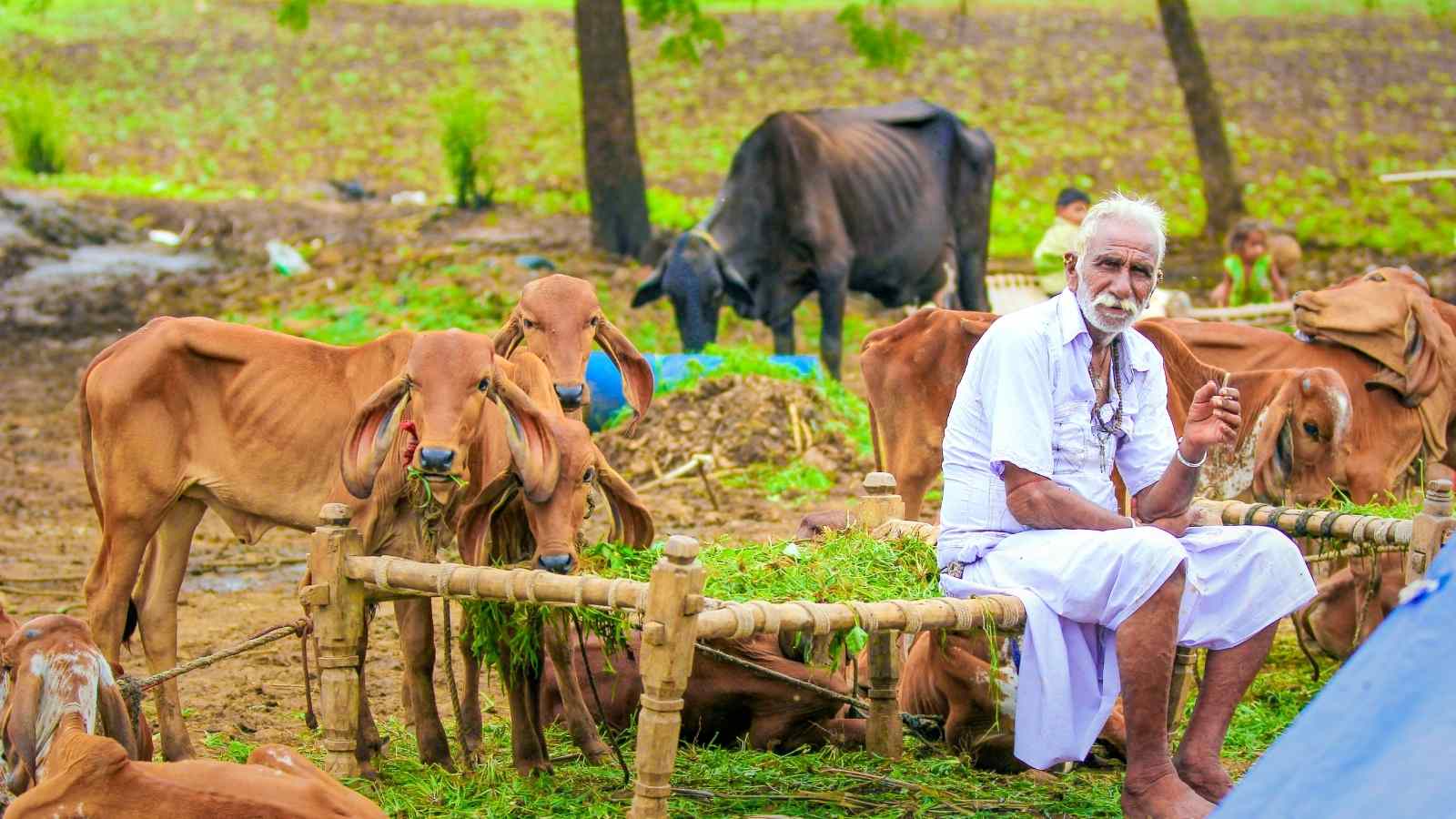 Smart Farmer In India