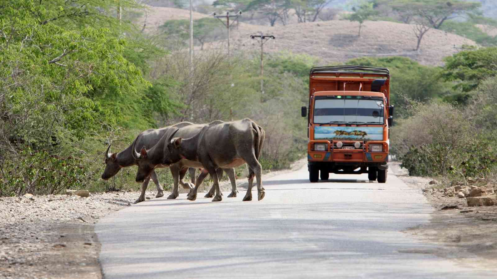 Transport In The Agricultural Domain