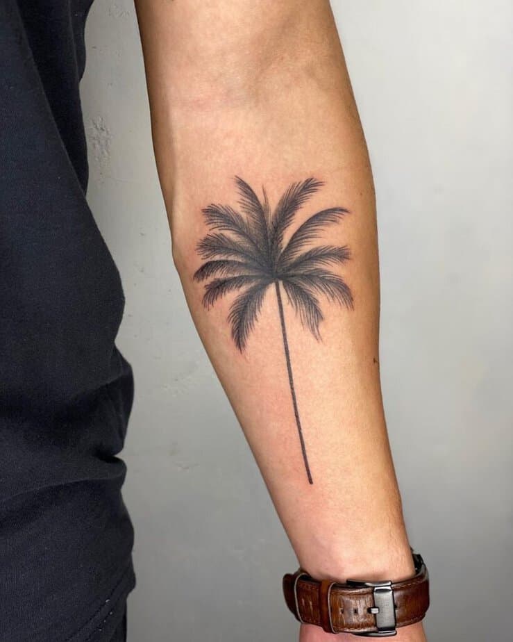 A classic palm tree tattoo on the forearm